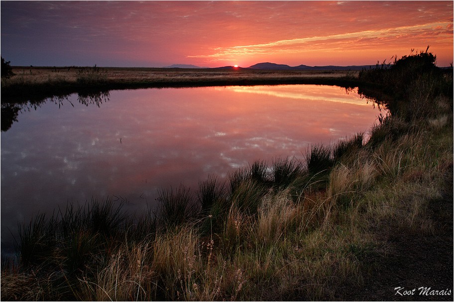 Landscapes